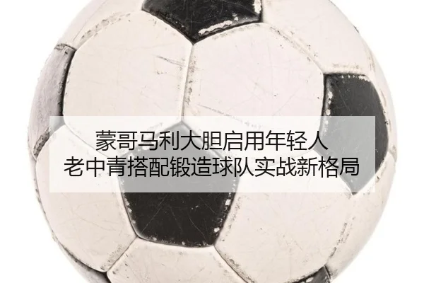 蒙哥马利大胆启用年轻人 老中青搭配锻造球队实战新格局